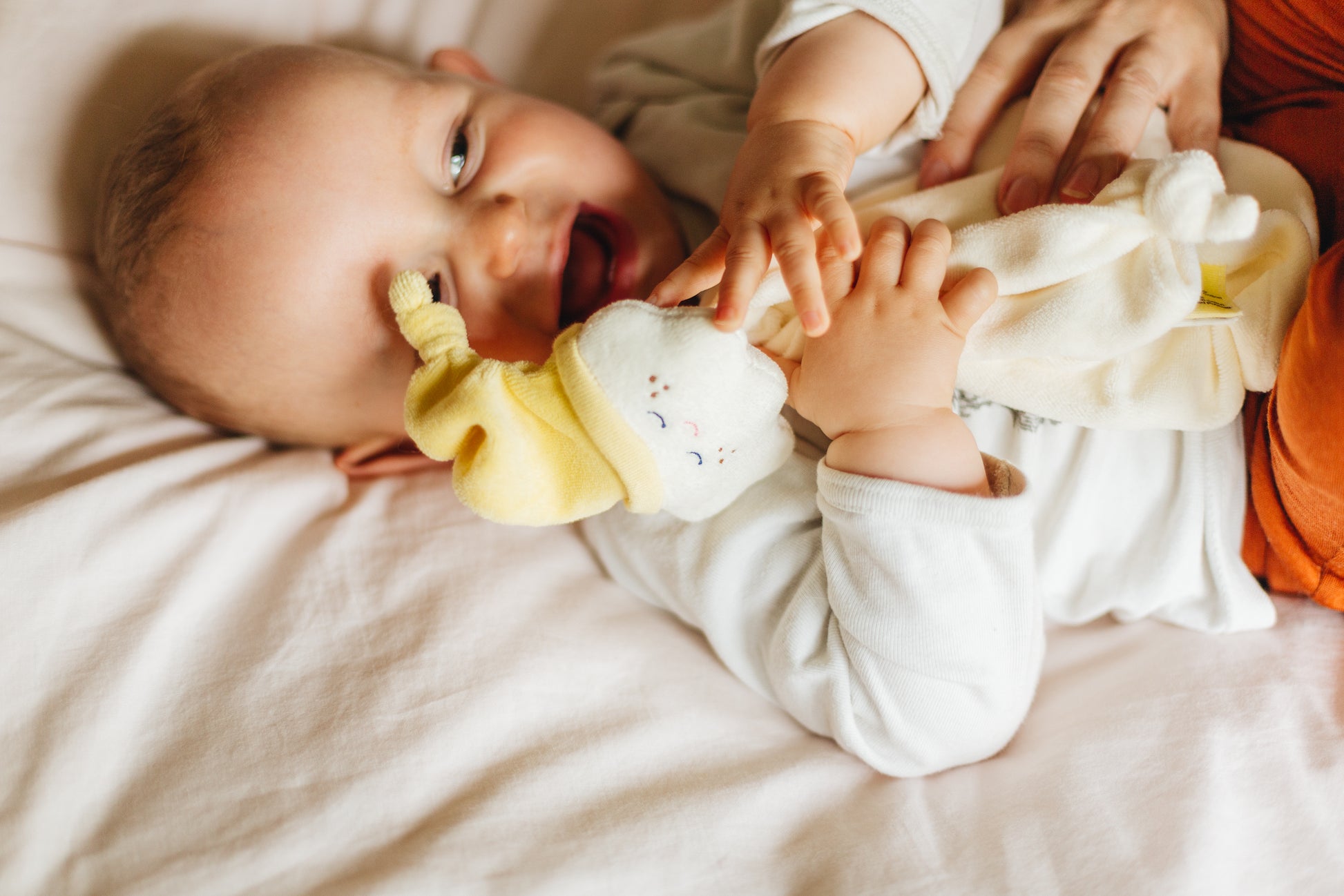 Cuddle Cuddly - organic cotton comforter - The Kiss Co